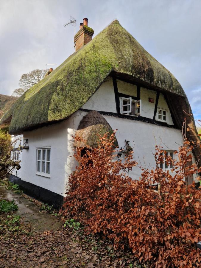 Delightful 3Bed Thatched Cottage Stockbridge  Esterno foto